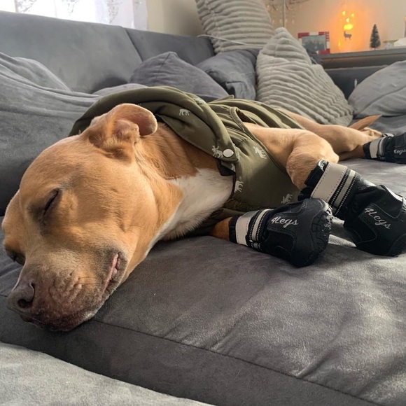 4Legs Dog Slip-On Waterproof with Rugged Anti-Slip Light Rubber Sole booties! - Picture 3 of 11